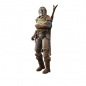 Preview: The Mandalorian & Grogu (Arvala-7) Actionfigur Black Series Exclusive, Star Wars: The Mandalorian, 15 cm