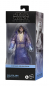 Preview: Qui-Gon Jinn (Force Spirit) Actionfigur Black Series Exclusive, Star Wars: Obi-Wan Kenobi, 15 cm