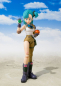 Preview: Bulma S.H.Figuarts