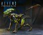 Preview: Burster Alien Actionfigur Series 2, Aliens: Fireteam Elite, 23 cm