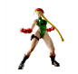 Preview: Cammy S.H.Figuarts