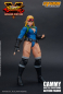 Preview: Cammy Battle Costume