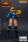 Preview: Cammy Battle Costume