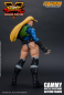 Preview: Cammy Battle Costume