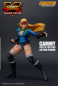 Preview: Cammy Battle Costume