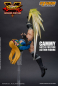 Preview: Cammy Battle Costume