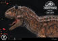 Preview: Carnotaurus