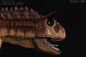 Preview: Carnotaurus