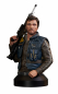 Preview: Cassian Andor Bust 1/6, Rogue One: A Star Wars Story, 15 cm