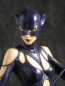 Preview: Luis Royo Catwoman