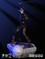 Preview: Catwoman Maquette 1/6