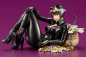 Preview: Catwoman Bishoujo