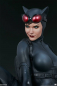 Preview: Catwoman Premium Format