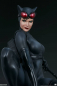 Preview: Catwoman Premium Format