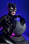 Preview: Catwoman