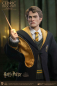 Preview: Cedric Diggory