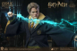 Preview: Cedric Diggory