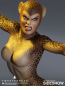 Preview: Cheetah