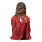 Preview: Chewbacca (Life Day) Büste 1:6, Star Wars, 18 cm