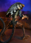 Preview: Chrysalis Alien (Movie Color) Actionfigur, Alien vs. Predator (Arcade 1994), 23 cm