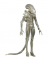 Preview: Alien 1/4 Concept Figure