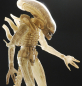 Preview: Alien 1/4 Concept Figure