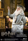 Preview: Albus Dumbledore 1/6