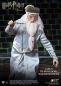 Preview: Albus Dumbledore 1/6