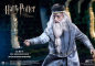 Preview: Albus Dumbledore 1/6