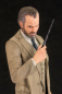 Preview: Albus Dumbledore ArtFX+