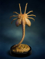 Preview: Facehugger Replica 1/1