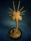 Preview: Facehugger Replica 1/1