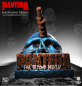 Preview: Pantera 3D Vinyl