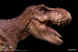 Preview: Tyrannosaurus Rex