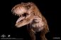 Preview: Tyrannosaurus Rex