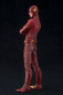 Preview: The Flash ArtFX+