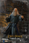 Preview: Gandalf the Grey 1/6