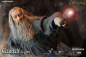 Preview: Gandalf the Grey 1/6