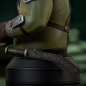 Preview: Gamorrean Guard Büste 1:6 St. Patrick's Day Exclusive, Star Wars: The Book of Boba Fett, 15 cm