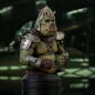 Preview: Gamorrean Guard Büste 1:6 St. Patrick's Day Exclusive, Star Wars: The Book of Boba Fett, 15 cm