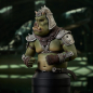 Preview: Gamorrean Guard Büste 1:6 St. Patrick's Day Exclusive, Star Wars: The Book of Boba Fett, 15 cm