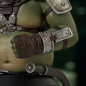 Preview: Gamorrean Guard Büste 1:6 St. Patrick's Day Exclusive, Star Wars: The Book of Boba Fett, 15 cm