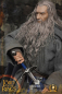 Preview: Gandalf the Grey