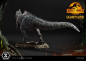 Preview: Giganotosaurus Statue 1:10 Prime Collectibles, Jurassic World: Ein neues Zeitalter, 22 cm