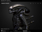 Preview: Giger's Alien 1/3