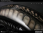 Preview: Giger's Alien Schädel