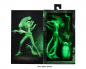 Preview: GITD Big Chap