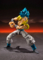 Preview: SSGSS Gogeta