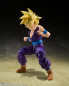 Preview: Super Saiyan Son Gohan (The Warrior Who Surpassed Goku) Action Figure S.H.Figuarts, Dragon Ball Z, 11 cm