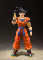 Preview: Son Goku S.H.Figuarts